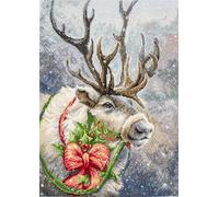 Luca-S B598 Kit point de croix Multicolore 19 x 19 cm