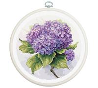 Luca-S BC225 Kit point de croix avec cerceau inclus Hortensia