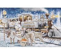 Luca-S BU5038 Kit de broderie au point de croix compté pour adultes Motif Père Noël Blanc