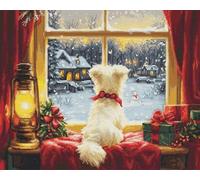 Luca-S BU5076 Kit de broderie au point de croix compté pour adultes Motif flocons de neige