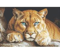 Luca-S BU5081 Kit de broderie au point de croix compté pour adultes Motif L'esprit sauvage Doré