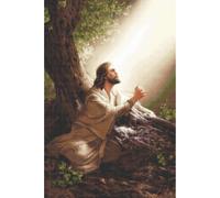 Luca-S kit de broderie au point de croix "Collection d'or Jésus Christ", motif à compter, 35x52cm