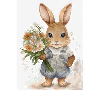 Luca-S Kit de broderie au point de croix compté B1409 The Bunny Surprise pour adultes