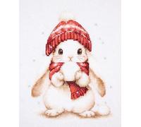 Luca-S Kit de broderie au point de croix compté pour adultes Motif Snow Magic B1418