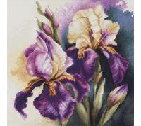 Luca-S Kit de broderie au point de croix Iris Burgermeister B7023