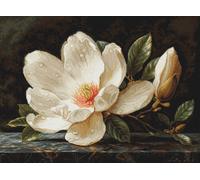 Luca-S kit de point de croix compté "Gold Collection The Magnolia Dew", 38x28cm