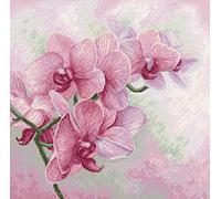 Luca-S B7009 Kit de broderie au point de croix Motif orchidées gracieuses