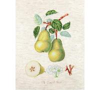 Luca-S Kit de Point de Croix, Multicolore, 17,5x26cm