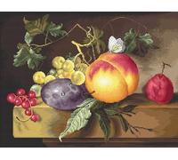 Luca-S Kit de Point de Croix, Multicolore, 30 x 30 cm