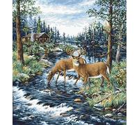 Luca-S Kit point de croix B606, multicolore, 26 x 22 cm