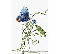 Luca-S LB2242 Kit pour Point de Croix Compté Motif Emotion 25 x 19,5 cm