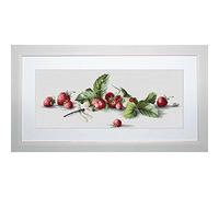 Luca-S LB2254 Kit pour Point de Croix Compté Motif Quelques Fraises 18,5 x 49,5 cm