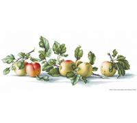 Luca-S set point de croix "pommes", motif de comptage, 50,5x19,5cm