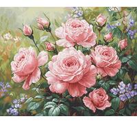 Luca-S Petit Point G717 Kit de broderie au point de croix compté pour adultes Motif jardin de roses Doré