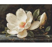 Luca-S Petit Point Kit de broderie au point de croix compté pour adultes Motif rosée du magnolia Doré