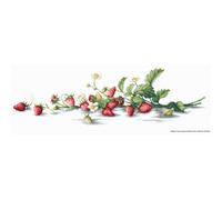 Luca-S set point de croix "Etude avec des fraises", modèle de comptage, 50x14,5c