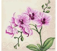 Luca-S set point de croix "Orchidées", motif de comptage, 23x22,5cm