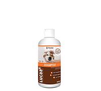 LUCAA+ Shampoing pour Chiens et Chats aux Probiotiques 300 ML | Bio | Vegan | Naturel