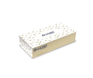 Lucart Mouchoirs double épaisseur recyclés EcoNatural - Boîte de 100