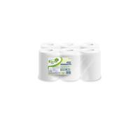 Lucart Professional Eco Blanc de 450 Feuilles Certification Ecolabel, 100% Papier Recyclé 2 épaisseurs