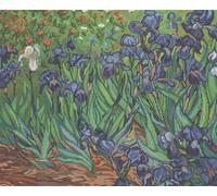 Lucas Kit de Point de Croix Motif Iris de Van Gogh