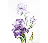 Lucas Kit pour Point de Croix compté Motif Iris