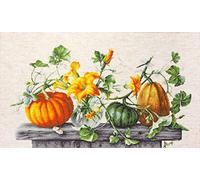 Lucas-S Cross Stitch Kit - Pumpkins