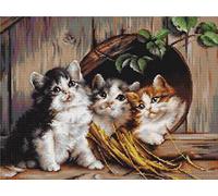 Lucas-S Friendly Kit de Broderie au Point de Croix compté Motif Refuge