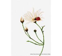 Lucas-S LB2246 Kit pour Point de Croix Compté Motif Coccinelle et Marguerite 24,5 x 12,5 cm