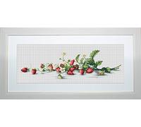 Lucas-S LB2266 Kit pour Point de Croix Compté Motif Branche de Fraises 14,5 x 50 cm