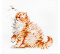 Lucas-S LB2270 Kit pour Point de Croix Compté Motif Chaton et Libellule 22 x 22,5 cm
