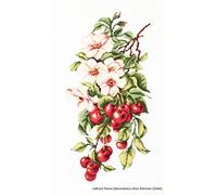 Lucas-S Nature Morte Cerises de Broderie au Point de Croix compté