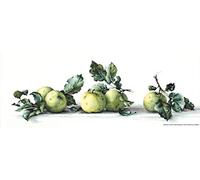 Lucas-S Pommes Still Life Kit de Broderie au Point de Croix Lot de 1