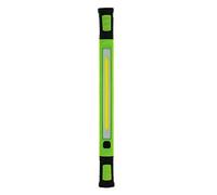 Luceco Lampe de travail rechargeable USB haute puissance 12 V