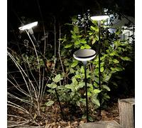 Lucenty - Balise Solaire - Plastique - Noir