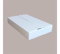 LUCGEL Srl Lot de 10 grandes boîtes en carton blanc pour transport alimentaire Imbalpast 527 x 310 H85 mm