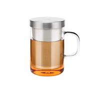 Lucha Tasse à thé en Verre à infuseur 450 ML, Tasse à thé en Verre borosilicaté avec Filtre et Couvercle