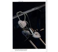 Lucía C. Pino: You Who Have Beautiful Manners