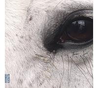 Lucia Dlugoszewski : Openings of the (eye). #Ensemble, Krych.