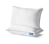 LUCID Coussin Mousse à mémoire de Forme Queen