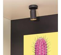 Lucide PUNCH Plafonnier à 1 source lumineuse, GU10, 13958/01/30,