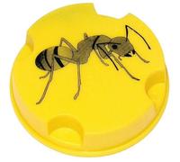 LUCIFER Anti-fourmis - 10 g