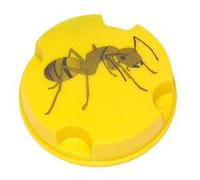 LUCIFER ANTIFOURMIS BOITE 10GRS 199