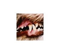 Lucius Vinyle Rose Opaque