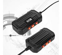 LUCKDANO Caméra d'inspection Endoscopique Industrielle Connectée sans Fil, Objectif 3,9 Mm, Résolution 1960 X 1080, étanche IP67, Batterie Rechargeable Intégrée de 2 600 mAh.