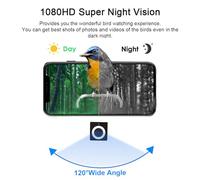 LUCKDANO Caméra Intelligente pour Mangeoire à Oiseaux avec Vidéo HD 1080p, Identification des Oiseaux par IA et Dissuasion des écureuils - à Distance avec Application Hibirds, Vision Nocturne, (Pas