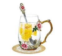 LUCKDANO Ensemble de Tasses à Eau Colorées en émail - Motif Rose Rouge avec Cuillère, Chiffon de Nettoyage et Dessous de Verre, Ensemble Cadeau de Tasse à thé et à café en Verre Cristal Résistant à