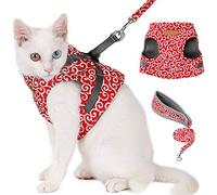 LUCKDANO Harnais de Chat et Laisse, Harnais de Chaton de Gilet Chat et Laisse Veste de Gilet rembourré à Bout de Souffle avec des de Réglable à la pour la pour Les pour la Marche du (XS)