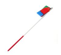 LUCKDANO Ribbons de Danse pour Enfants, Rubans de Ruban de Gymnastique avec Un de 50 Cm de 50 Cm et Bâton pour la Danse et Les Routines de Gymnastique