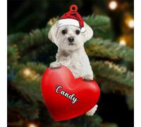 Luckluccy Ornement en acrylique personnalisé 2025, cadeaux pour les amoureux des chiens, décoration d'arbre, ornement de Noël